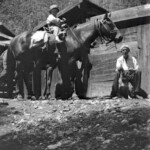 Edwin Ekburg playing with dog and horseback is Arvid Alexander Jr. Circa 1930's